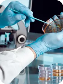 newletter-image-thefoodtech.com